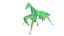 origami insects 5-10