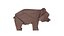 Origami Bear