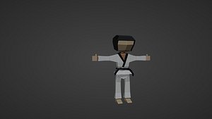 Martial artist 3D