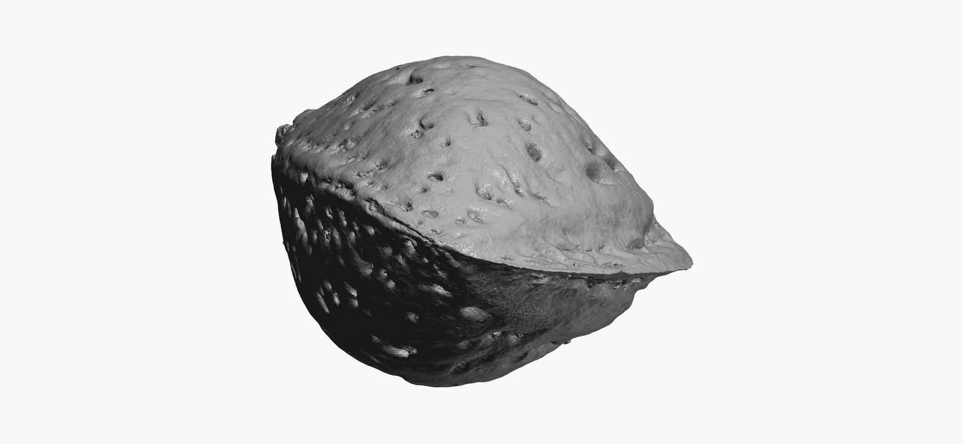 3D Almond Shell 05 Raw Model - TurboSquid 1530388