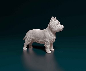 West Highland White terrier 3D model