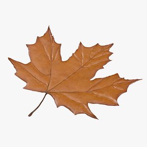orange maple leaf 3d model