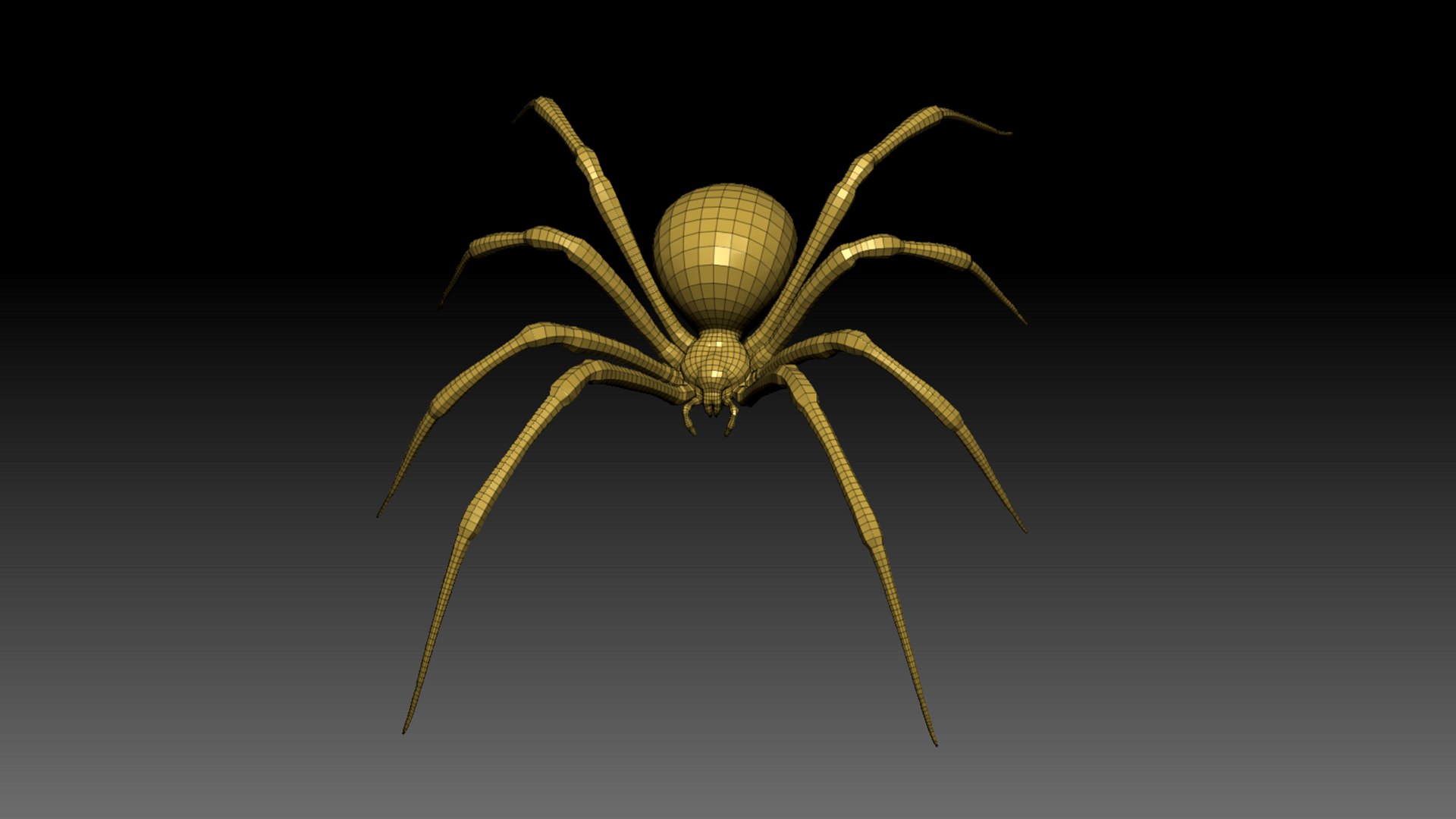 Black Widow Spider 3D - TurboSquid 2151447