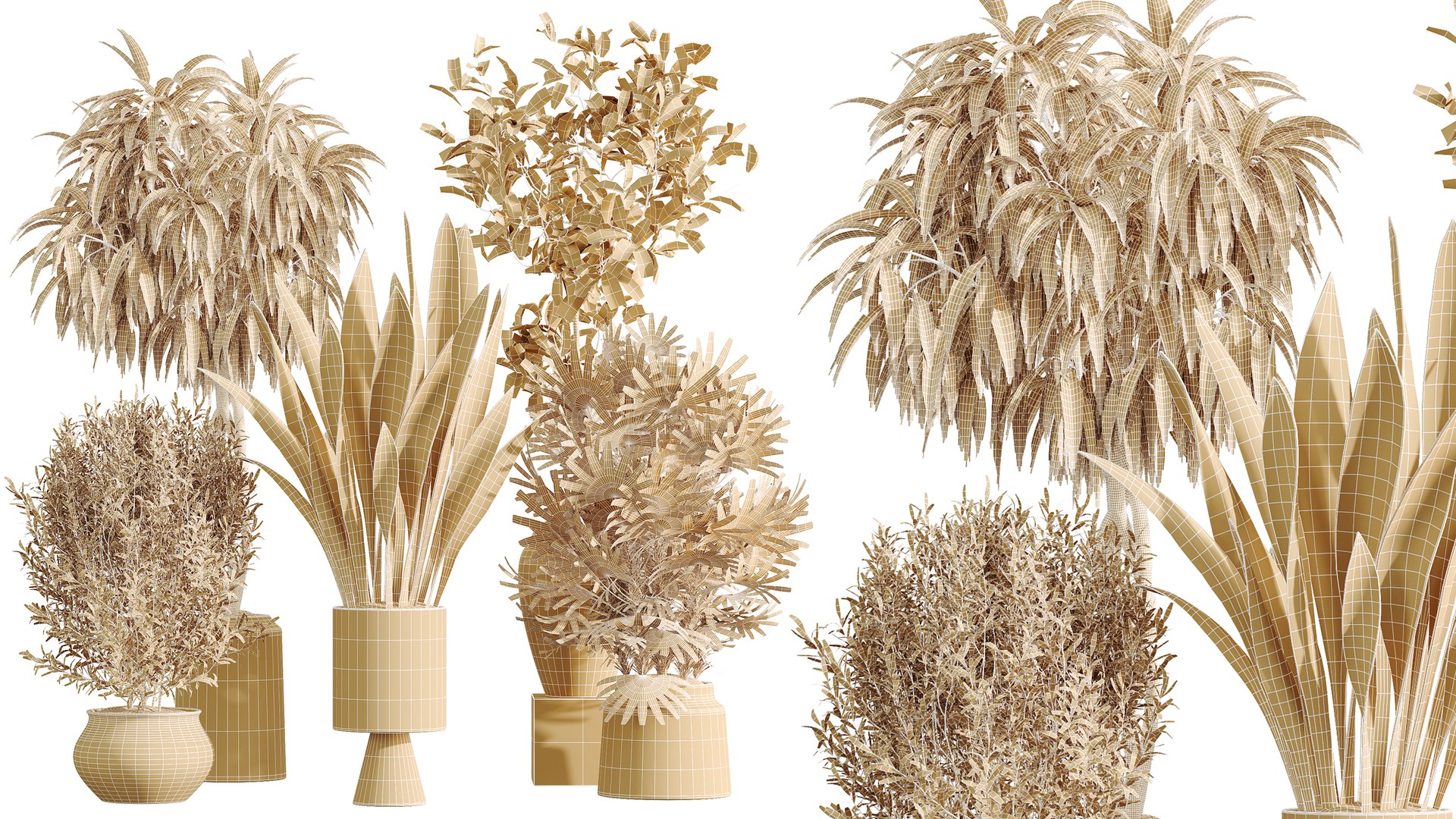 AV Indoor Plants Set 481 Palm Pachira Sansevieria Ficus Olive model https://p.turbosquid.com/ts-thumb/cu/YFjOke/9b/10/png/1783420124/1920x1080/fit_q87/7417108d40c5ac20c3c3b205b6534d56f227136e/10.jpg