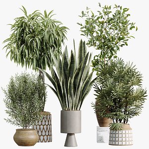AV Indoor Plants Set 481 Palm Pachira Sansevieria Ficus Olive model
