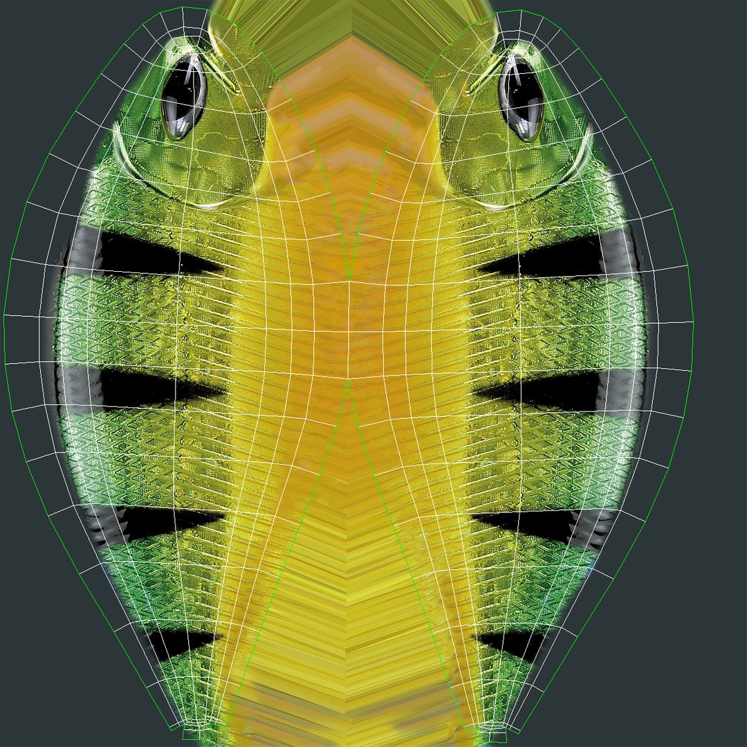 fishing lures 3D https://p.turbosquid.com/ts-thumb/cu/aX3pfh/TL1hbyWI/uvlure1/png/1497377691/1920x1080/fit_q87/91642081e51435d07f30f607af2bdc266cd606f8/uvlure1.jpg