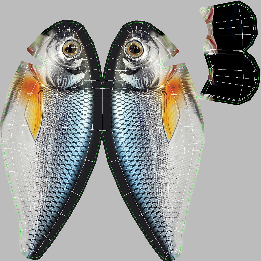 fishing lures 3D https://p.turbosquid.com/ts-thumb/cu/aX3pfh/gpKKIMc7/uvlure4/png/1497377691/1920x1080/fit_q87/fe1e828971a30ea984242b228ae3882fb0cd13dc/uvlure4.jpg