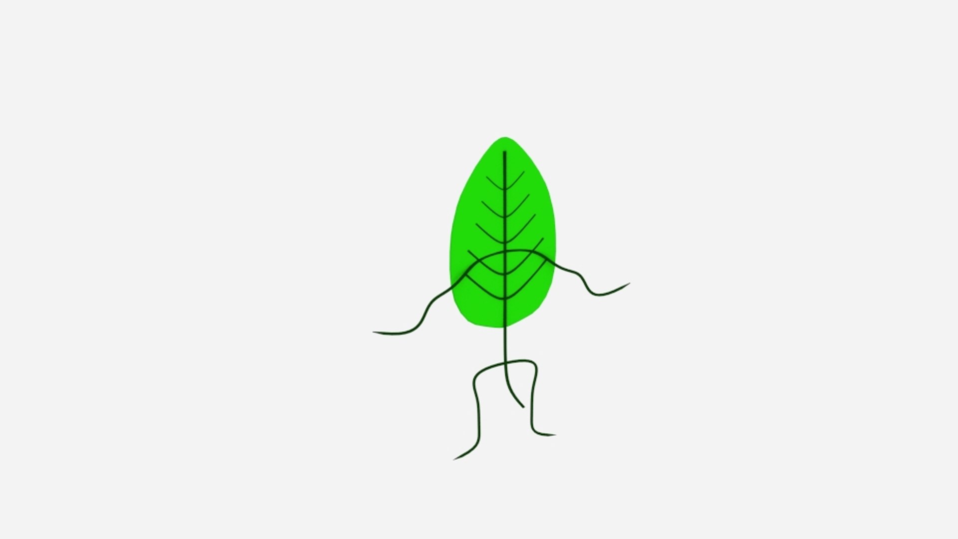 3ds cartoon leaf https://p.turbosquid.com/ts-thumb/cu/cswt2I/yCUV89rm/crtlff2/jpg/1479625368/1920x1080/fit_q87/3c28bfb210ea1aadbaaf16b51631a857dfa5455e/crtlff2.jpg