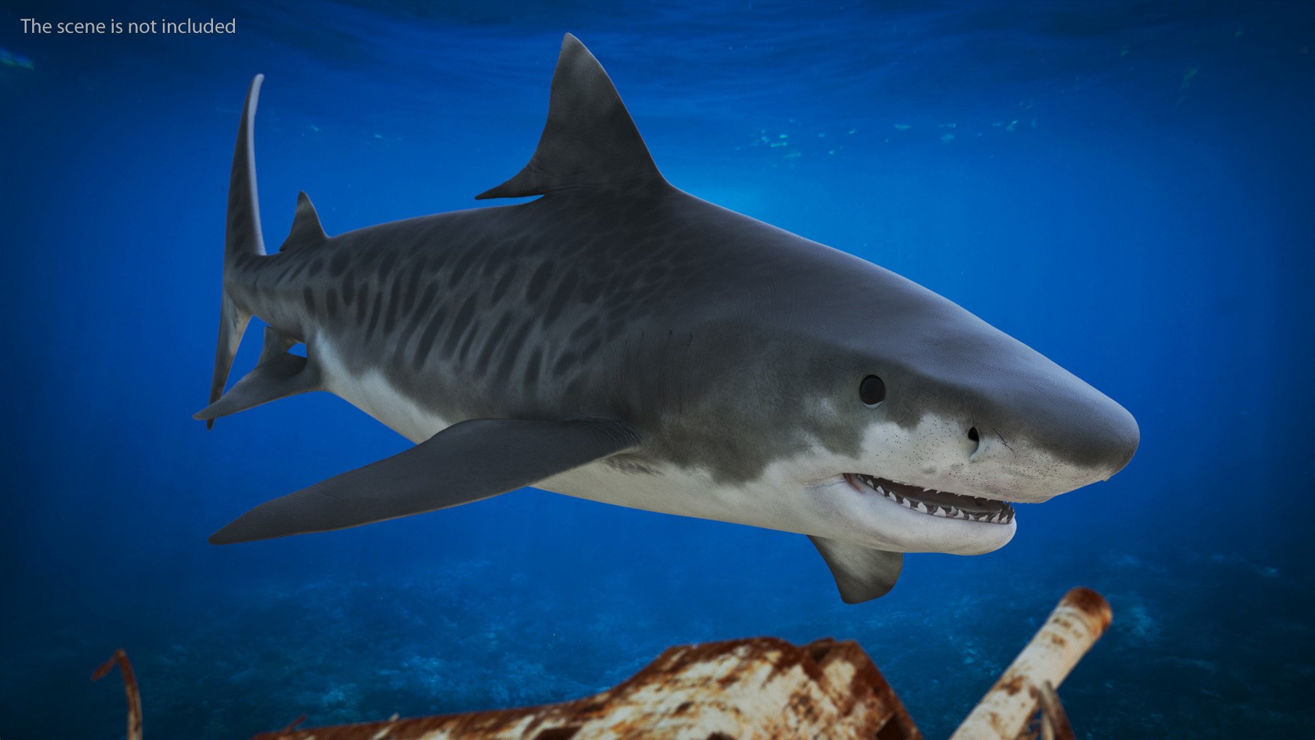 Old Copper Diving Suit and White Shark 3D https://p.turbosquid.com/ts-thumb/cu/qNHlxk/mN/old_copper_diving_suit_and_white_shark_014/jpg/1732811019/1920x1080/fit_q87/edc5f72dd16c549bee2f9041339548961fa4c284/old_copper_diving_suit_and_white_shark_014.jpg