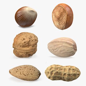 3D model Nuts Collection 7