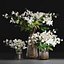 Gardenia-Cape Jasmine  Flower Bouquet Vase