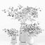 Gardenia-Cape Jasmine  Flower Bouquet Vase