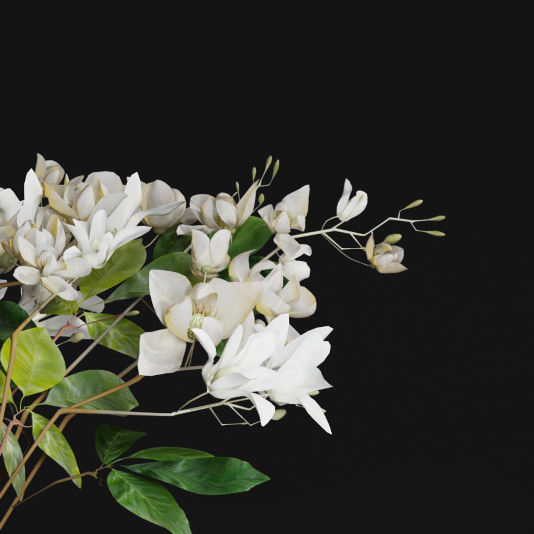 3D flower bouquet jasmine gardenia https://p.turbosquid.com/ts-thumb/cv/5ugMJO/A3VU9pIL/6/jpg/1568397491/1920x1080/fit_q87/c86196ebfc114fbafd2b471181791db912b3eb4f/6.jpg