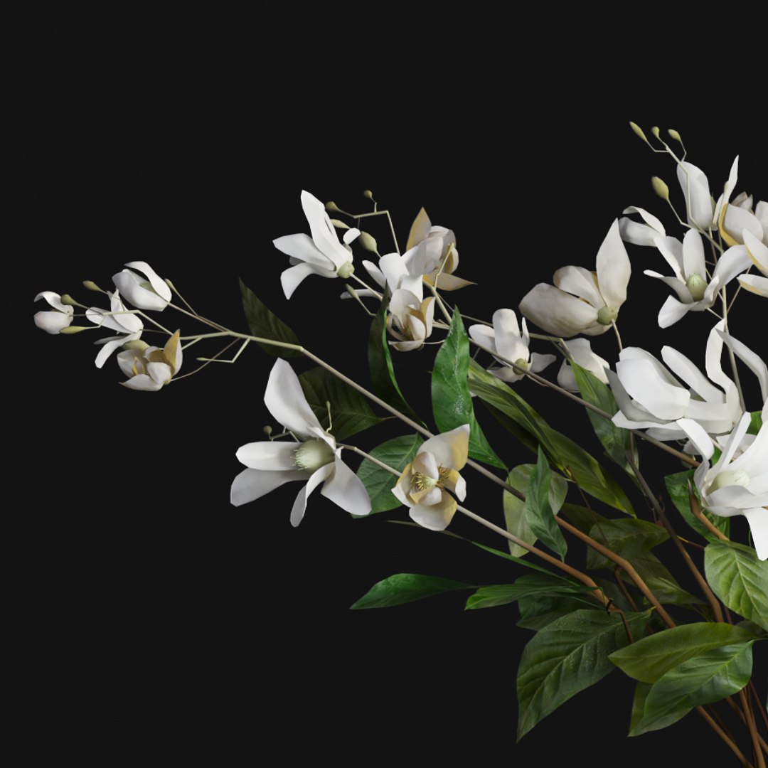 3D flower bouquet jasmine gardenia https://p.turbosquid.com/ts-thumb/cv/5ugMJO/YmG4Cotu/5/jpg/1568397481/1920x1080/fit_q87/f50a23f0a76576f0b55b3f057271a73ad0ba8712/5.jpg