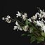 Gardenia-Cape Jasmine  Flower Bouquet Vase