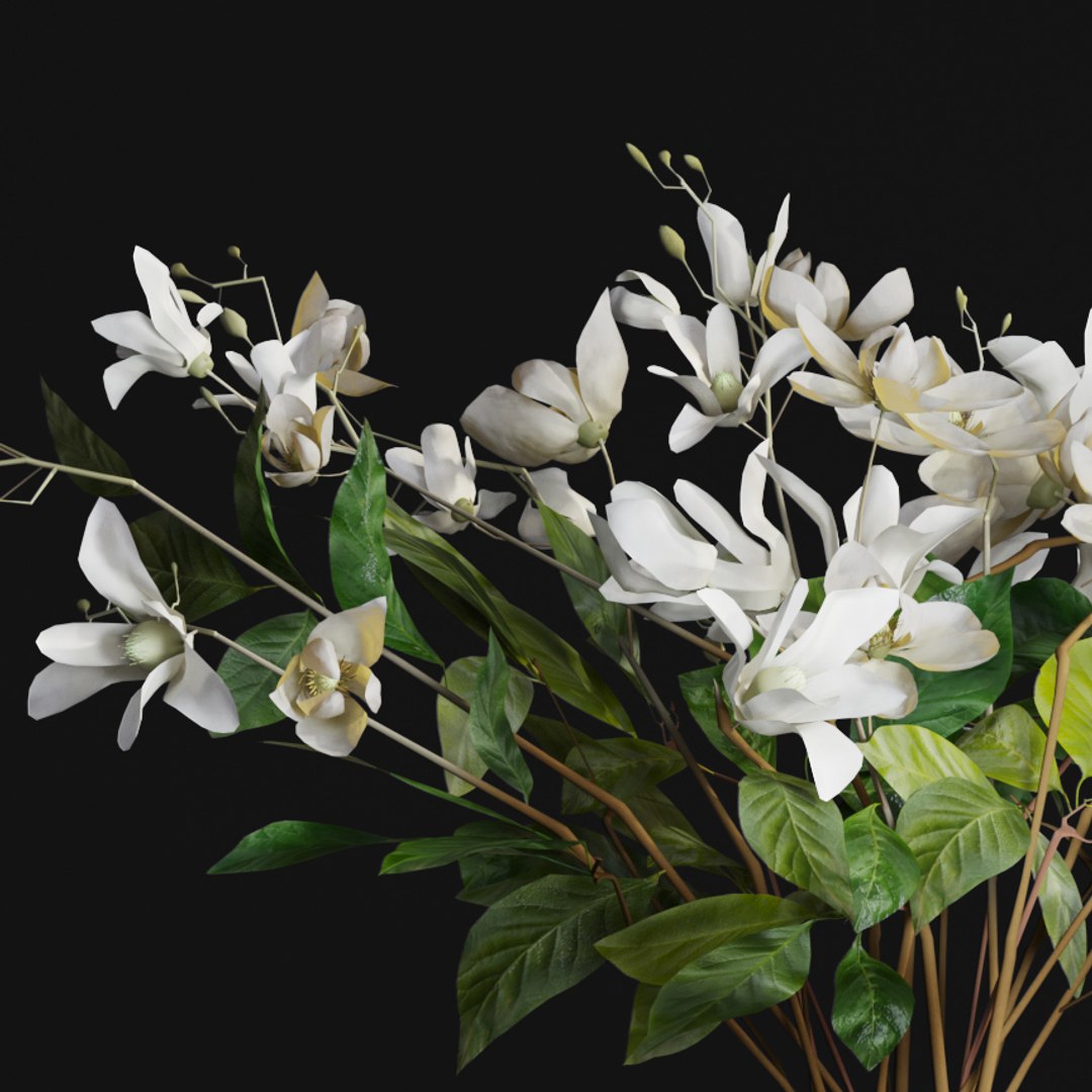 3D flower bouquet jasmine gardenia https://p.turbosquid.com/ts-thumb/cv/5ugMJO/iSxDhmDr/7/jpg/1568397502/1920x1080/fit_q87/505169832bc96af15005828a2268fdc8796d089f/7.jpg
