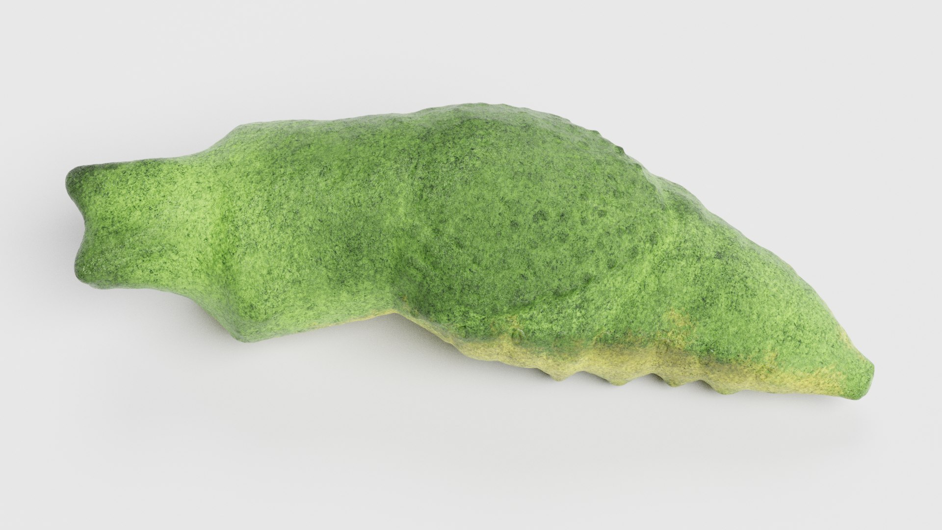 3D model old world swallowtail https://p.turbosquid.com/ts-thumb/cv/91dg0M/CG/oldworldswallowtailpupariggedf/png/1610717689/1920x1080/fit_q87/76b08660cf6e0c99f24d1afd15cb7b03e014fe72/oldworldswallowtailpupariggedf.jpg