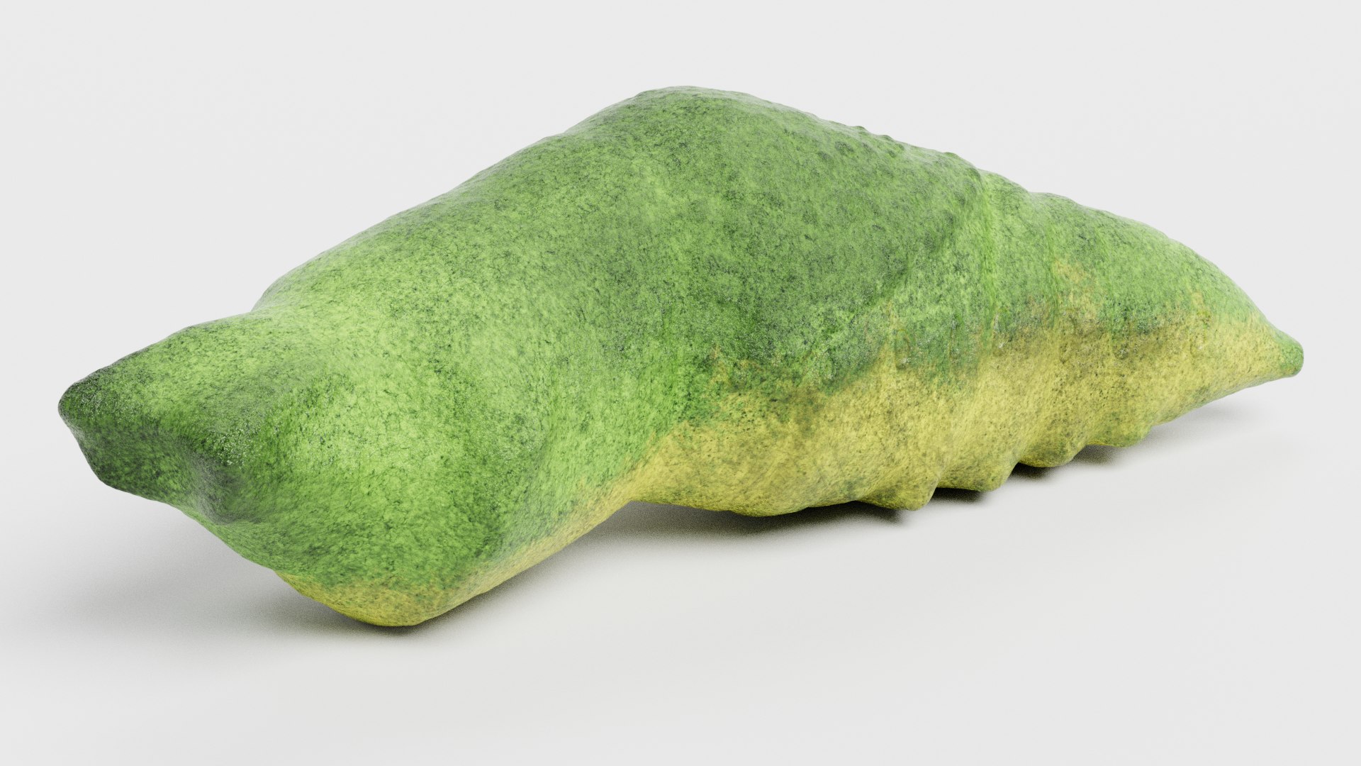 3D model old world swallowtail https://p.turbosquid.com/ts-thumb/cv/91dg0M/Hs/oldworldswallowtailpupariggedc/png/1610717682/1920x1080/fit_q87/577773956436f79f34578f40910245abcaa35eec/oldworldswallowtailpupariggedc.jpg