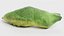 Old World Swallowtail Pupa Rigged
