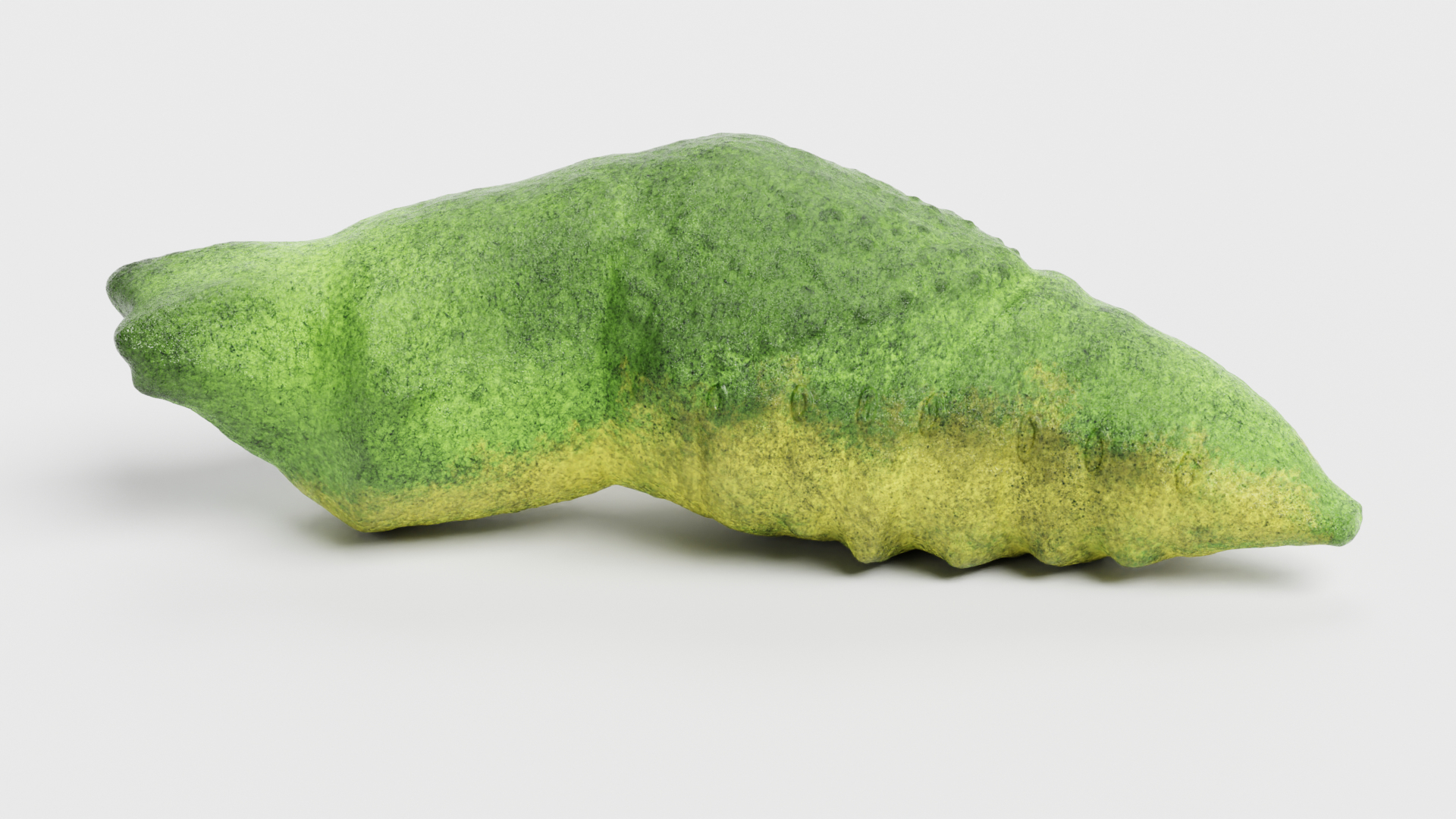 3D model old world swallowtail https://p.turbosquid.com/ts-thumb/cv/91dg0M/eA/0001/png/1610719520/1920x1080/turn_fit_q99/44191544b173bdcd93d672644b37d7210dfc754c/0001-1.jpg