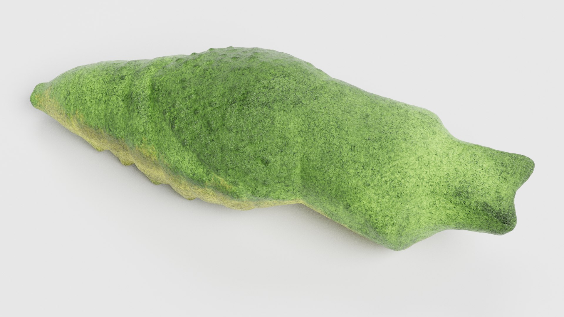 3D model old world swallowtail https://p.turbosquid.com/ts-thumb/cv/91dg0M/k3/oldworldswallowtailpupariggedg/png/1610717696/1920x1080/fit_q87/3f57876786a0ffe5e2fd51807f8f2760c3d08bc8/oldworldswallowtailpupariggedg.jpg