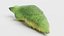 Old World Swallowtail Pupa Rigged