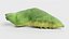 Old World Swallowtail Pupa Rigged