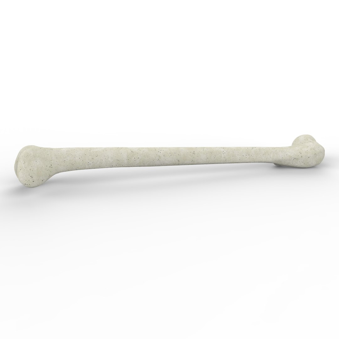 3d skeleton bones femur https://p.turbosquid.com/ts-thumb/cv/OgHifw/1FAaJCII/untitled.712/jpg/1476656830/1920x1080/fit_q87/424042f53849f7e3a332fa0eb4777935615d3ae6/untitled.712.jpg