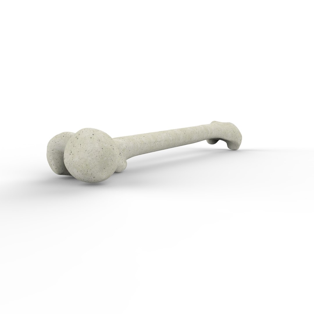 3d skeleton bones femur https://p.turbosquid.com/ts-thumb/cv/OgHifw/9xrVrDyb/untitled.714/jpg/1476656830/1920x1080/fit_q87/a7141b98a6ff4bc026acb5591820f684228f6cb6/untitled.714.jpg
