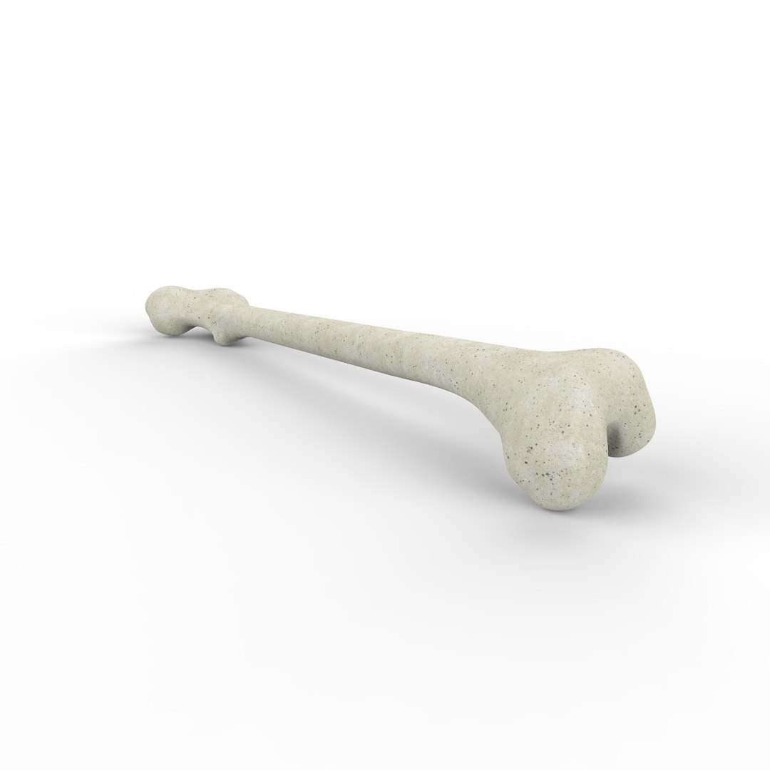 3d skeleton bones femur https://p.turbosquid.com/ts-thumb/cv/OgHifw/PG4i3xhQ/untitled.711/jpg/1476656830/1920x1080/fit_q87/25c7c7ea1a7b219bc467c10266f92c4ea155d8f8/untitled.711.jpg