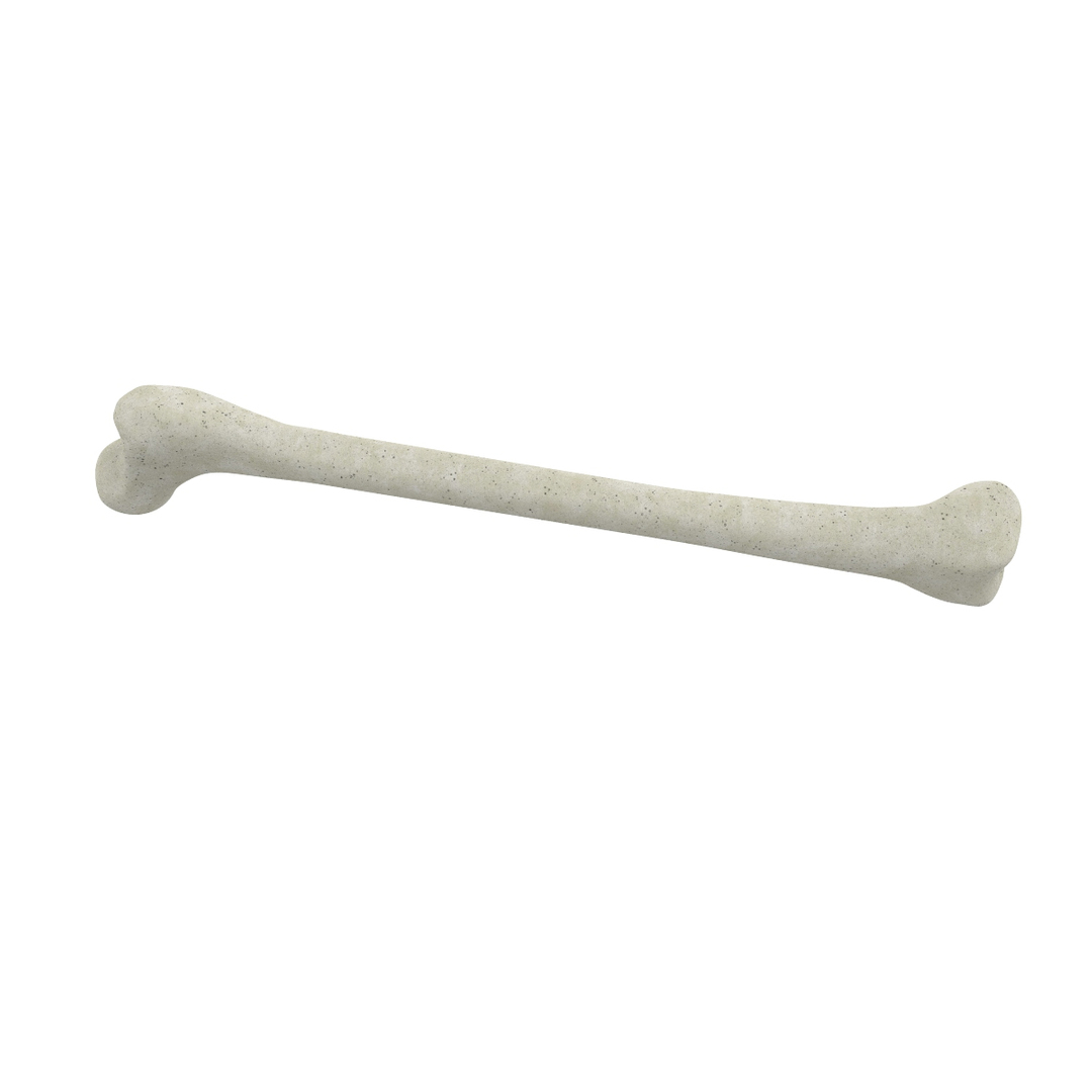 3d skeleton bones femur https://p.turbosquid.com/ts-thumb/cv/OgHifw/no54tsvf/01/jpg/1476657377/1920x1080/turn_fit_q99/bb996c251a66e8cb635fe316471ab5f53c646f3c/01-1.jpg