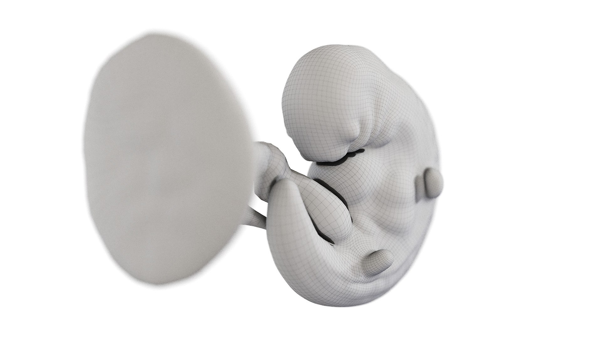 3D Fetus Week 5 Animated - TurboSquid 1867378