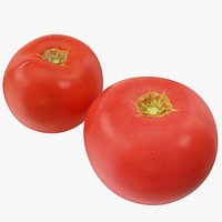 Tomatoes 03-04