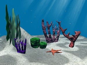underwater scene 3d model