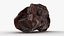 Raisin