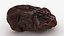 Raisin
