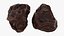 Raisin