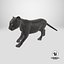 3D model Panther Cub Wary Pose