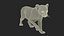 3D model Panther Cub Wary Pose