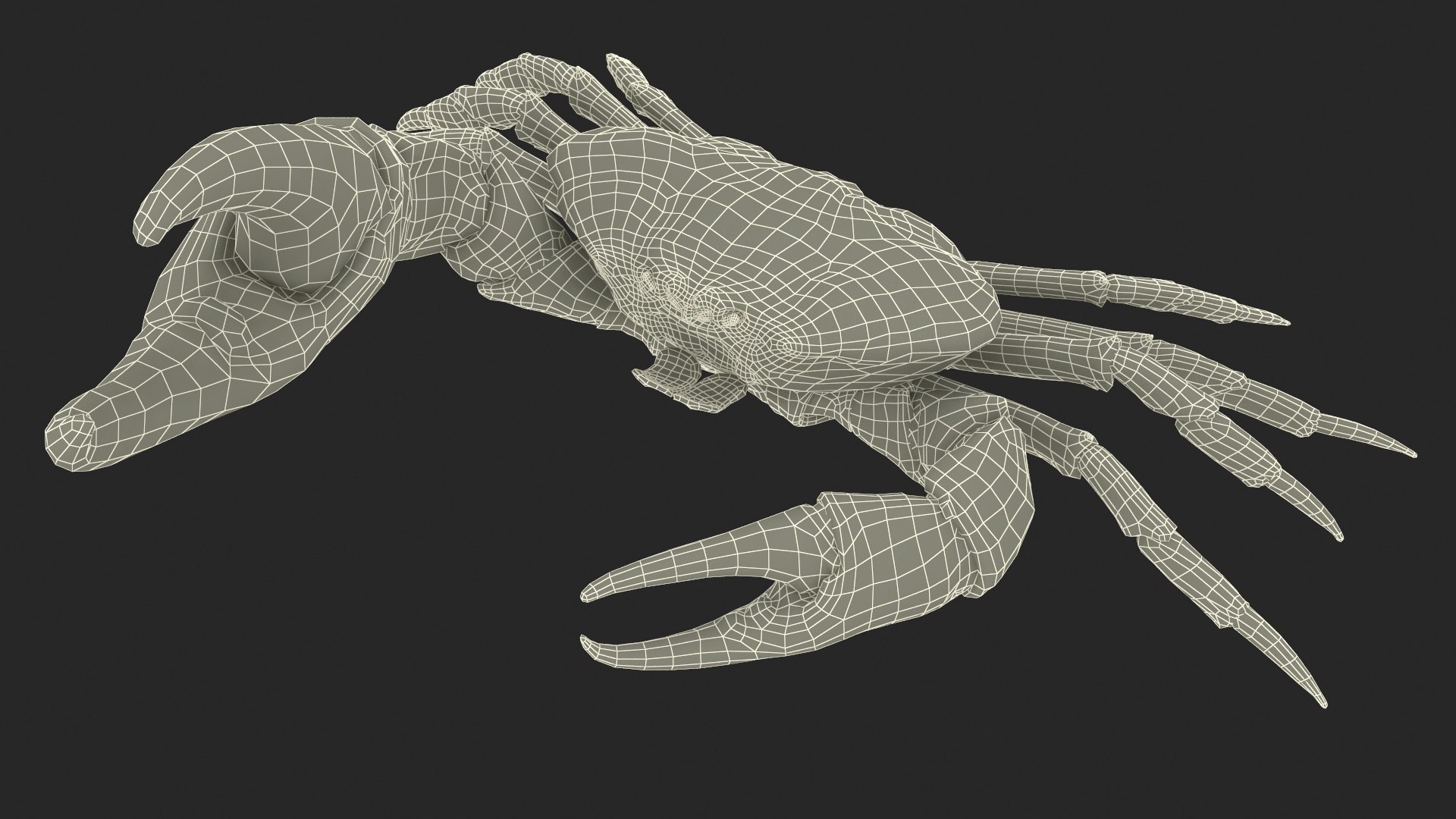 3D Deepwater Giant Crab Rigged Model - TurboSquid 2181444