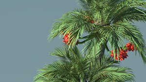 3D palm model