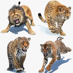 Big Cats 3D Models Bundle Lion Tiger Leopard Cheetah Rigged Animated