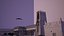 Falcon animated flying in Traditional heritage building desert