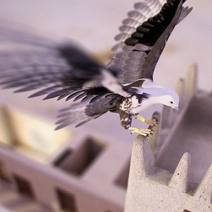 Falcon animated flying in Traditional heritage building desert