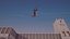 Falcon animated flying in Traditional heritage building desert