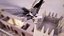 Falcon animated flying in Traditional heritage building desert