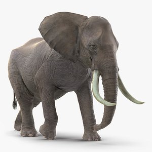 Animated Cinema 4D Models Zoo 3D Models For Download | TurboSquid
