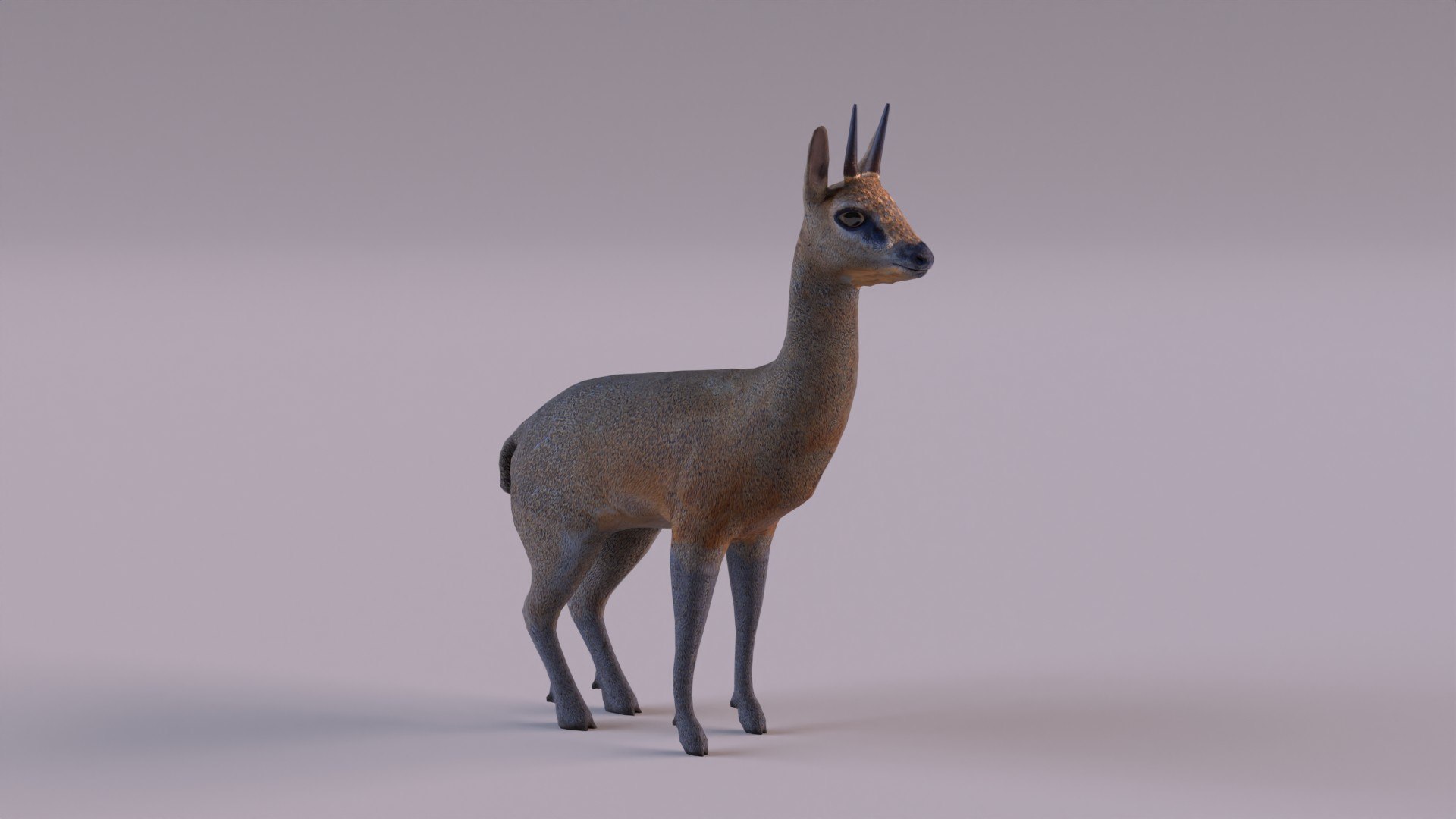 3D Model Wildlife - TurboSquid 1983356