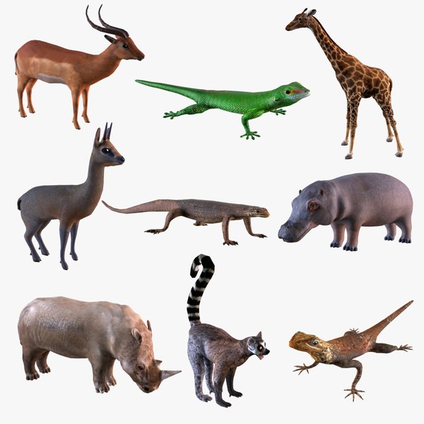 wildlife.jpg