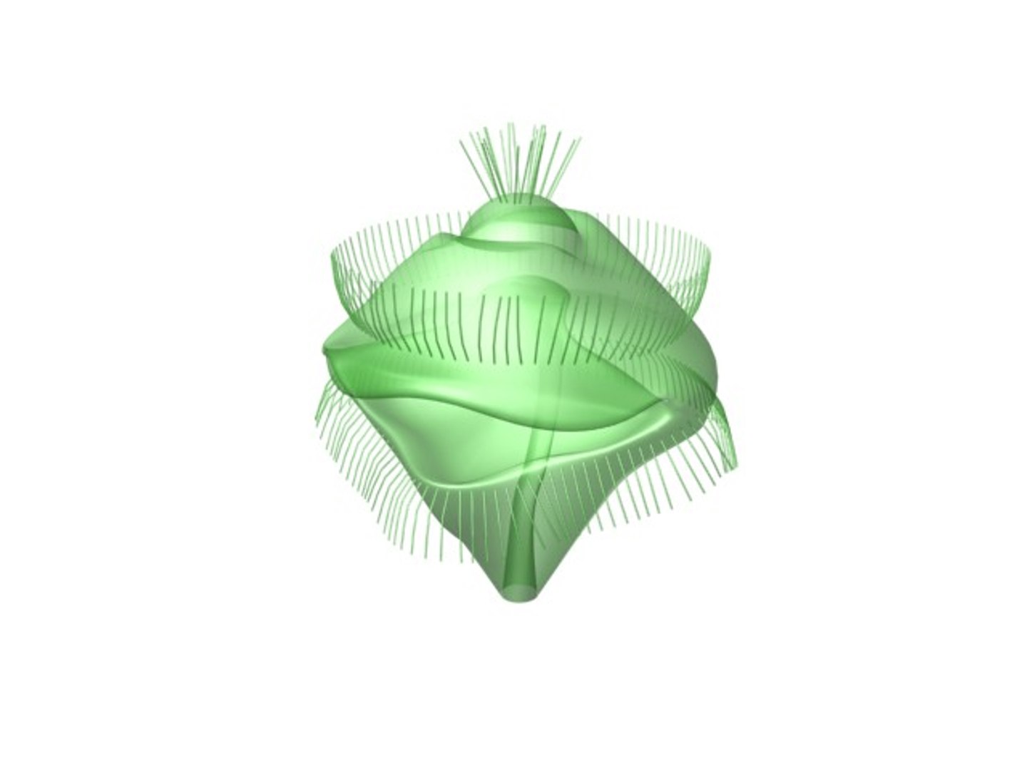3d trochophore https://p.turbosquid.com/ts-thumb/cw/7ATMhW/TFlCsSKg/3/jpg/1397199308/1920x1080/fit_q87/0d8dc4fbe230368aae6335cbd158fd6670a1f62e/3.jpg
